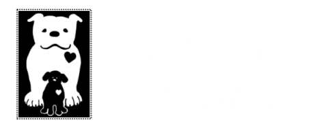 Luvable Dog Rescue